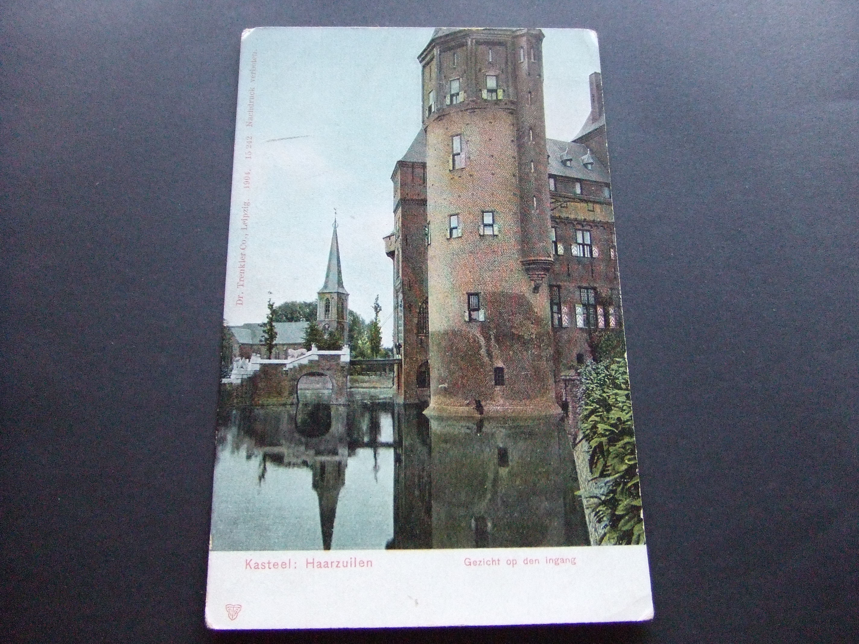 Haarzuilen Kasteel De haar gezicht op de ingang